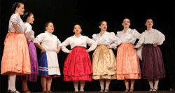 hrvatske udruge na pokrajinskoj smotri