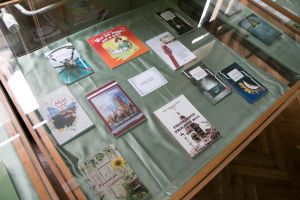 dani balinta vujkova 4