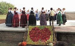 tavankutski festival voca 2