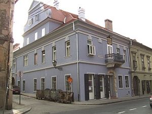 kuca bana jelacica 2