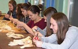 hrvatska udruga ucenickog zadrugarstva