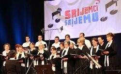 udruge u srijemu srijemci srijemu