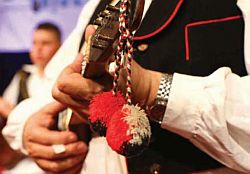 prosla godina udruga u srijemu i ns 1