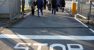 terensko istrazivanje