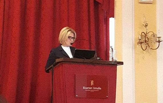 vojnic na strucnom skupu