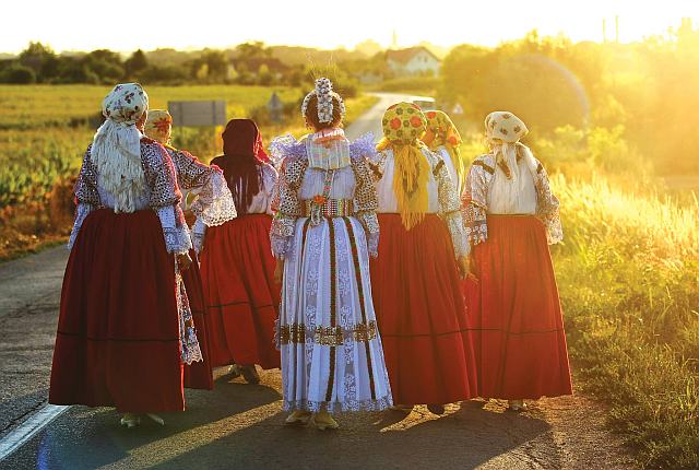 backo podunavlje sl.4