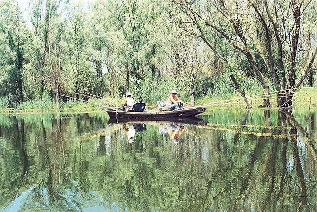 backo podunavlje sl.5