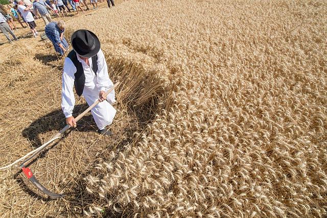 Takmicenje risara sl.3