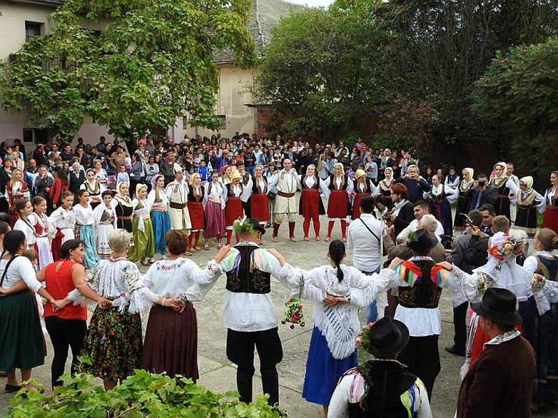 Grozdjebal u Sonti sl.1