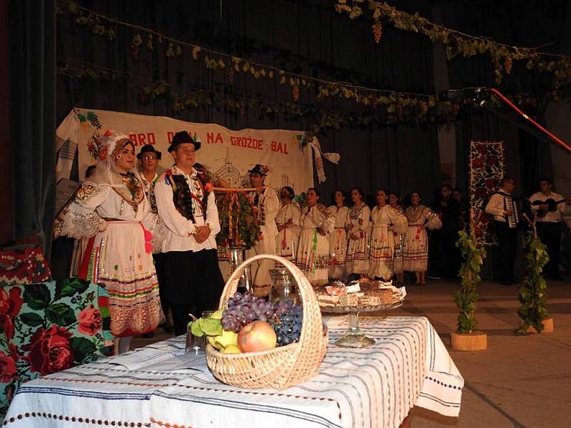 Grozdjebal u Sonti sl.2