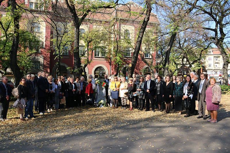 Dani Balinta Vujkova sl.6