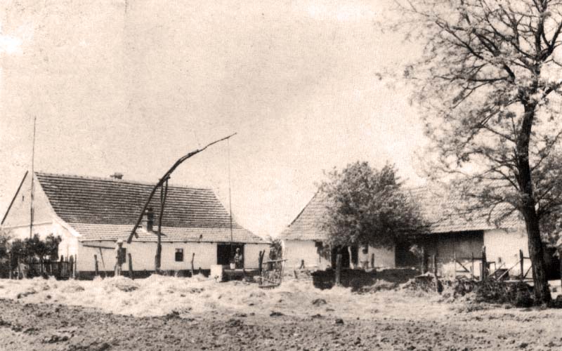 kako očuvati tradiciju