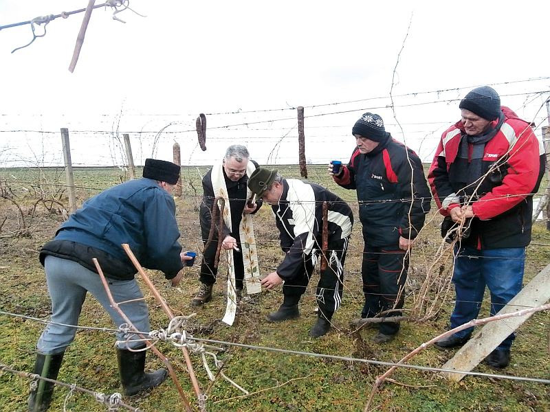 blagdan sv vinka u rumi