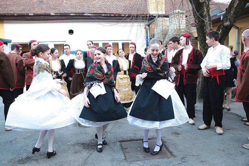 dalmatinska vecer u subotici