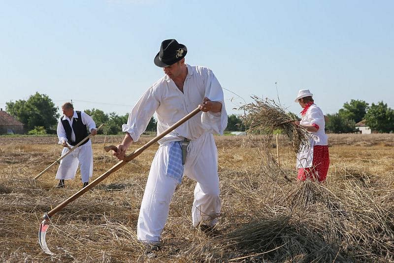 Takmicenje risara 2018