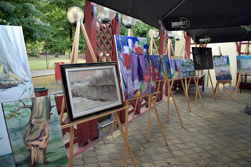 8. saziv kolonije Stipan Sabic