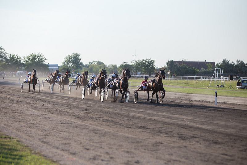 sportske manifestacije