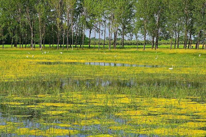 prirodne geografske tur vred