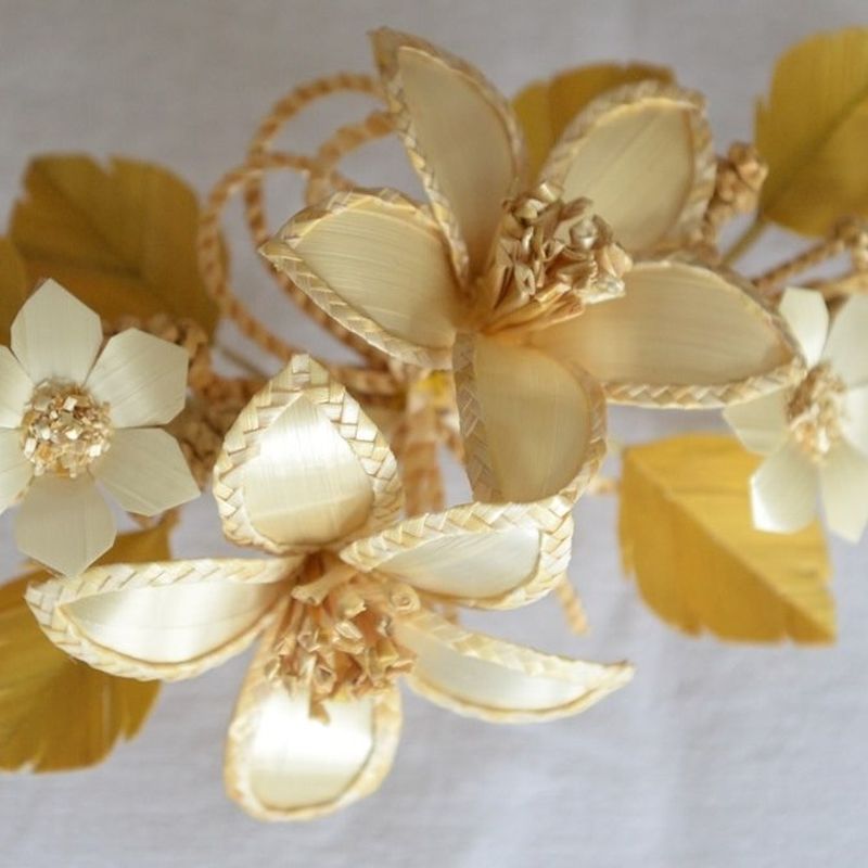 saziv kolonije slame