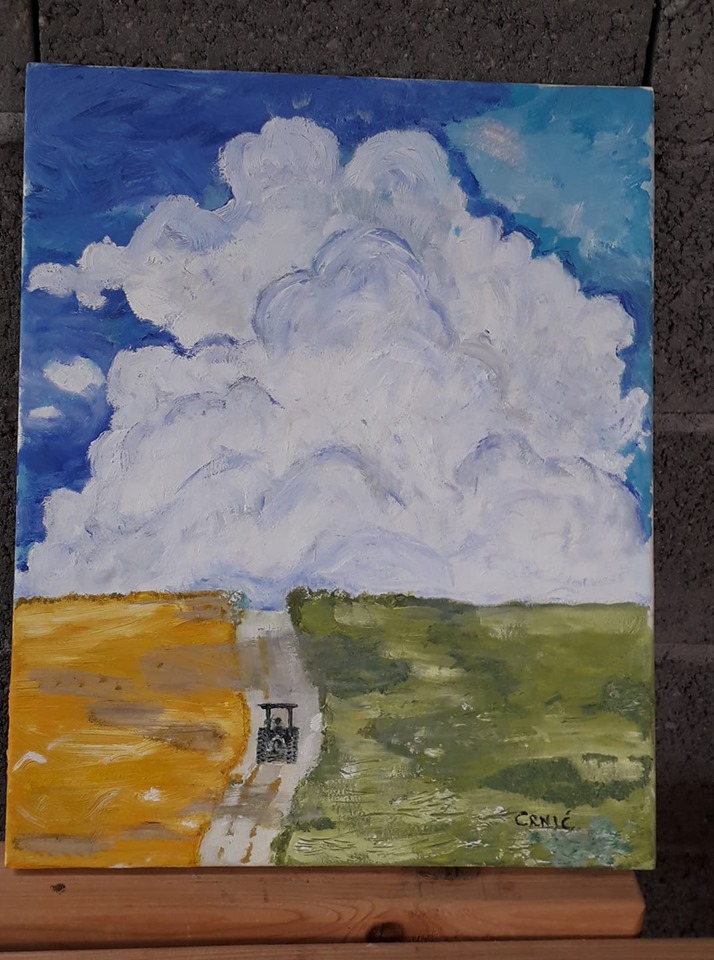 likovna kolonija šid