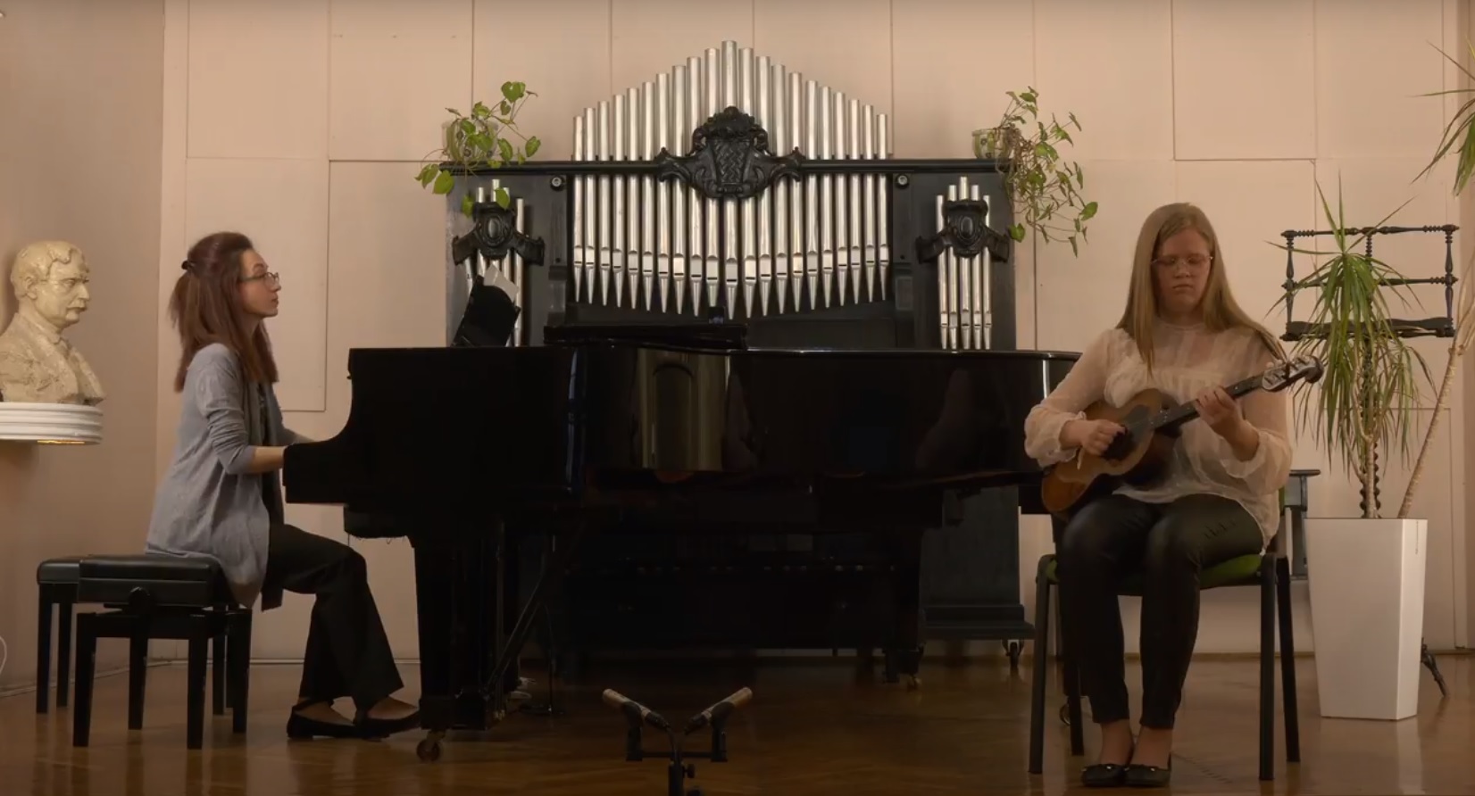 tambura instrumental