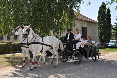 bogatstvorazlicitosti-3-m