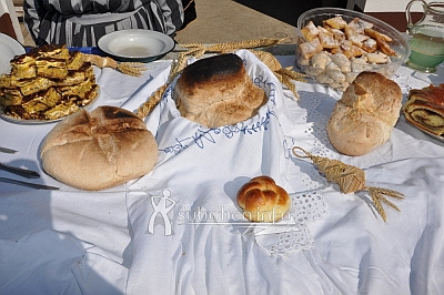 bogatstvorazlicitosti-1-m