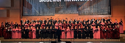 srijemcihrvatskoj2011-1