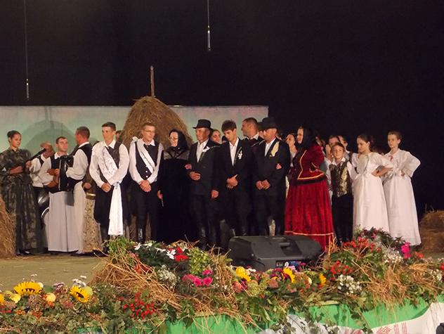 Nazor Vinkovacke jeseni2014-4