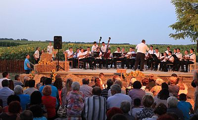 Tamburaski koncertTA2015-1-m